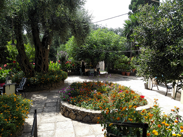 Hagen utenfor leiligheten på Korfu.